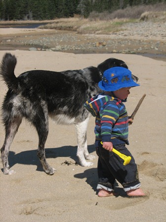 Boy and Dog